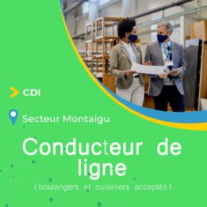 Offre Emploi Conducteur Ligne Automatis E Agroalimentaire Cdi Vend E